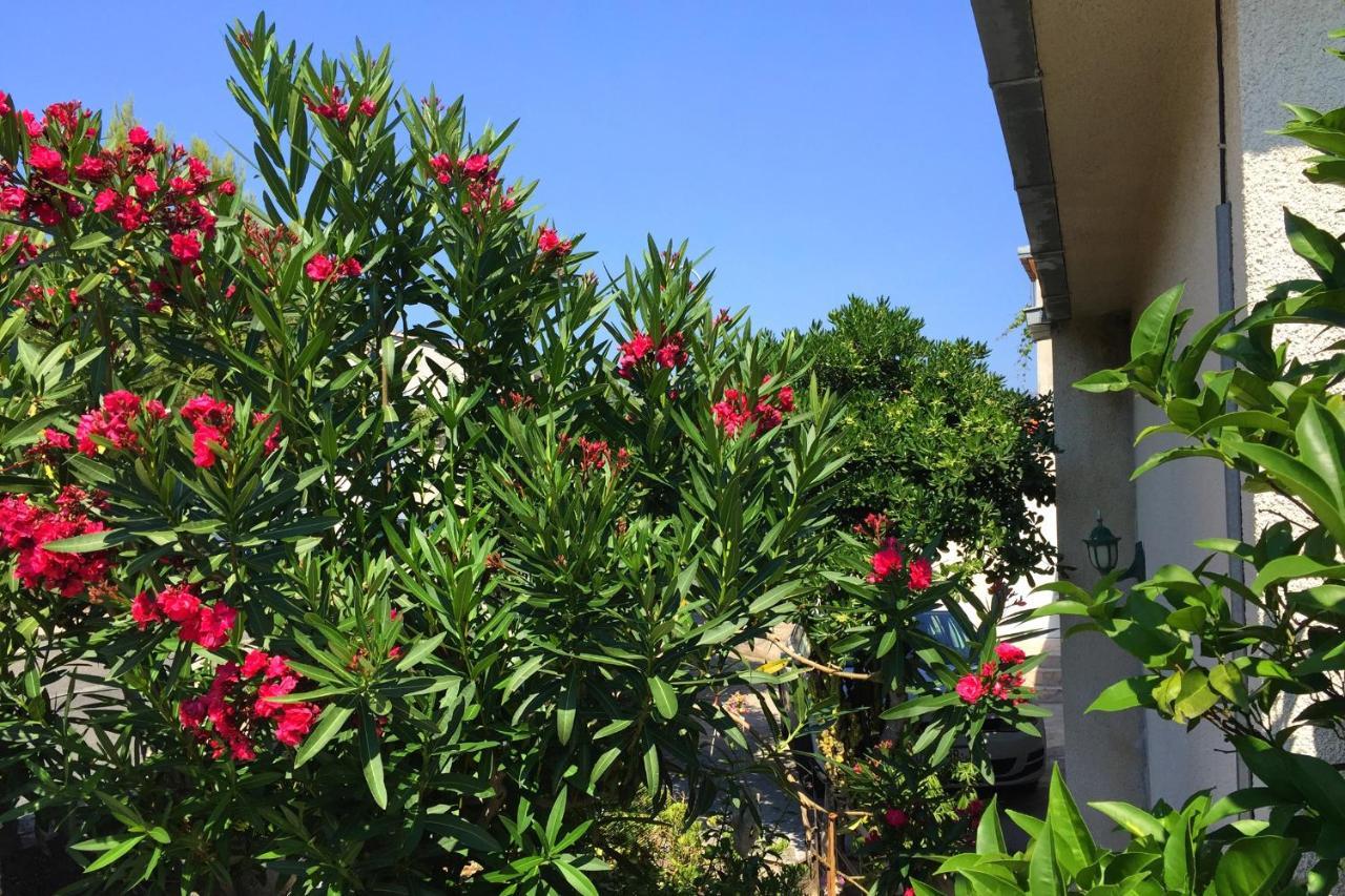 Apartments By The Sea Orebic, Peljesac - 11450 Luaran gambar