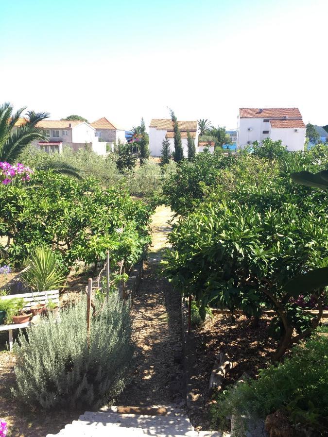 Apartments By The Sea Orebic, Peljesac - 11450 Luaran gambar